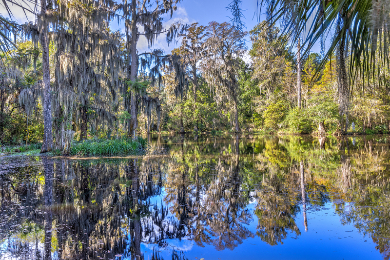SC041.jpg :: Reflective pond on the North end of Magnolia Plantation

Charleston SC - Fall 2021