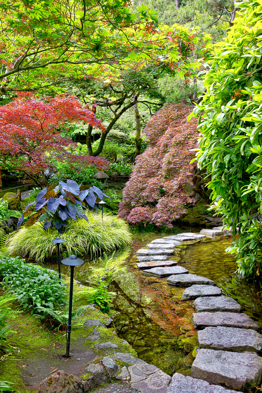 VC004.jpg :: Butchart Gardens - the Japanese Garden

Victoria, Vancouver Island - Summer 2022