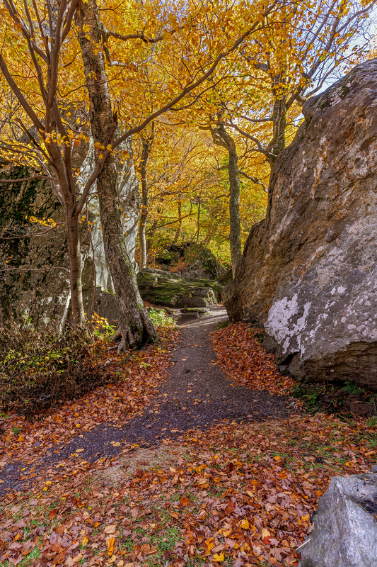 VT042.jpg :: An Easterly view while driving thru Smugglers Notch

Smugglers Notch, VT - Fall 2025