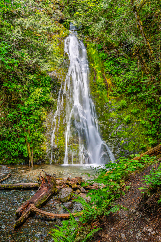 WA002.jpg :: Madison Falls

Olympic Park, WA - Summer 2022