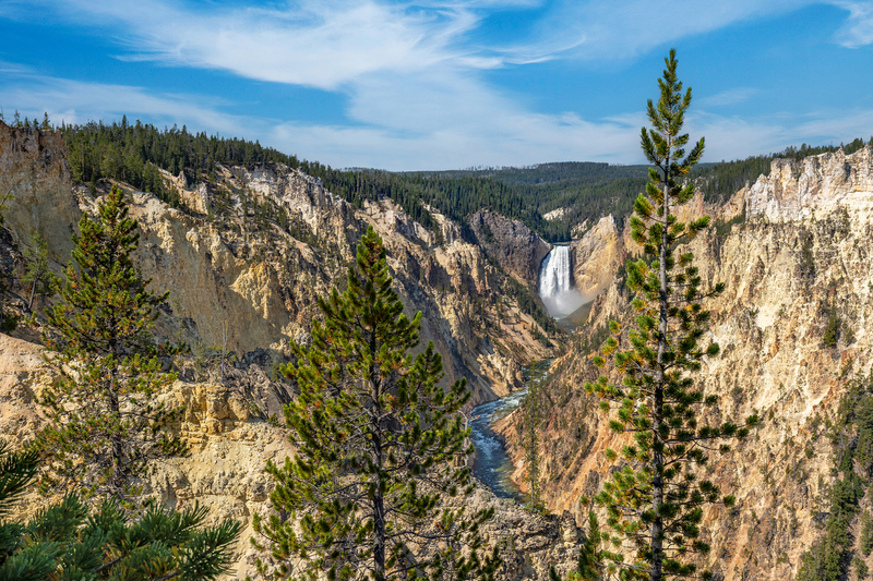 WY08.jpg :: View Of Yellowstone's Lower Falls from Artist Point

Yellowstone Park WY - Summer 2024