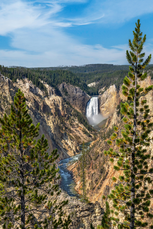 WY09.jpg :: Portait view Of Yellowstone's Lower Falls from Artist Point

Yellowstone Park WY - Summer 2024