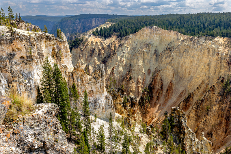 WY10.jpg :: South view Of Yellowstone Canyon from Lookout Point

Yellowstone Park WY - Summer 2024