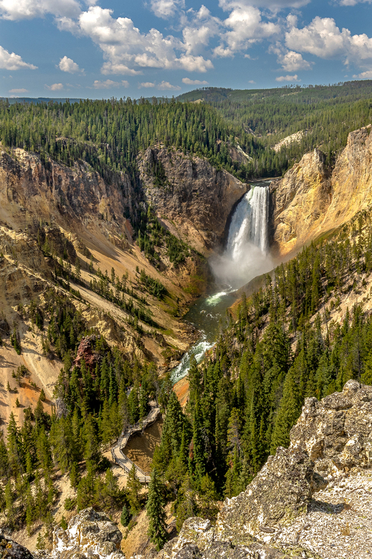 WY11.jpg :: Portrait view Of Yellowstone's Lower Falls from Lookout Point

Yellowstone Park WY - Summer 2024