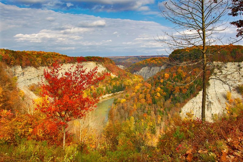 NY379.jpg :: Looking West along the Genesee River bed at Archer's Overlook

Letchworth State Park, NY - Fall 2014