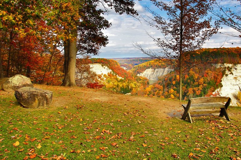 NY380.jpg :: Beautiful resting area near Archer's Overlook

Letchworth State Park, NY - Fall 2014