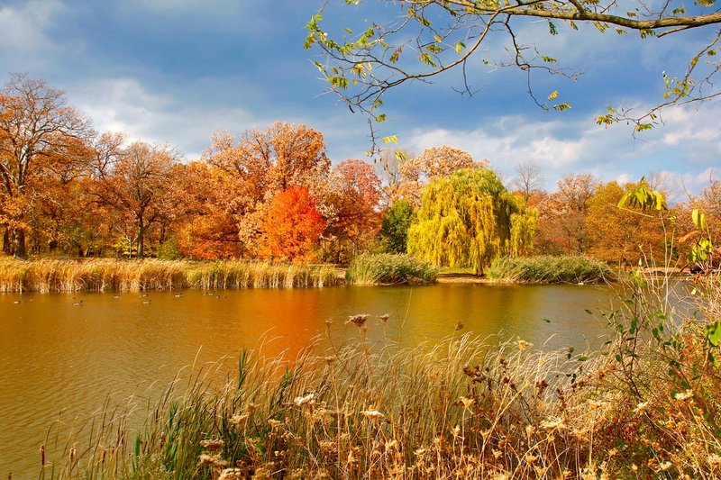 NY401.jpg :: Soaking up the view across Trout Lake, in late Fall, near the Seneca Park Zoo

Rochester NY - Fall 2014
