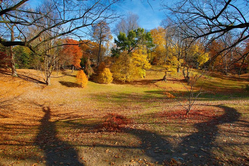 NY403.jpg :: Late Fall, near Lamberton Conservatory, in Highland Park

Rochester NY - Fall 2014