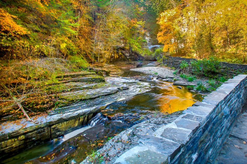 NY442.jpg :: Winding steam cuts through wooded area of upper Robert Treman State Park

Ithaca area, NY - Fall 2015