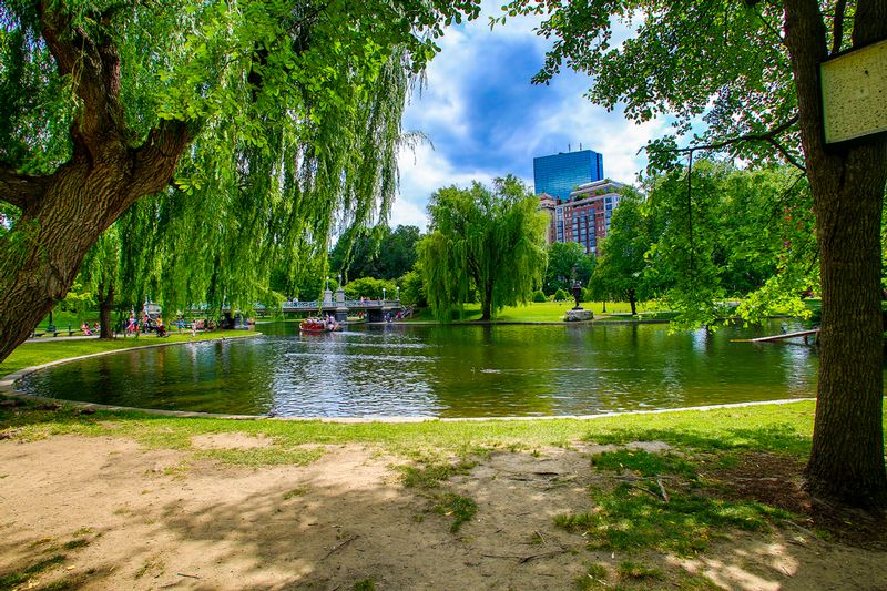 MA0361.jpg :: Found inside the city limits is the beautiful Public Garden

Boston MA - Summer 2016