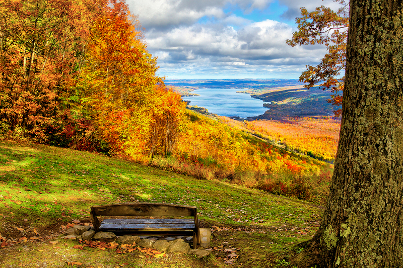 NY450.jpg :: Looking out over Honeoye Lake's Fall color as seen from Hollister Spencer Park

Honeoye NY - Fall 2015