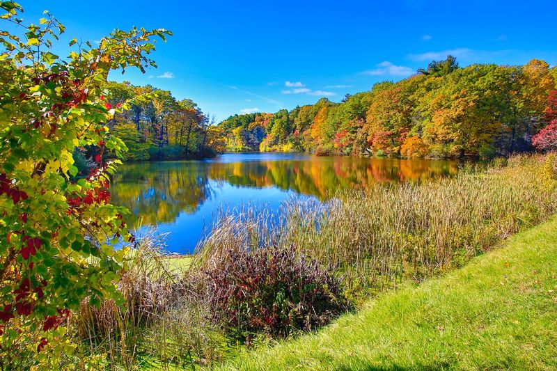 NY469.jpg :: Fall reflection at Durand Eastman Park

Rochester area NY - Fall 2015