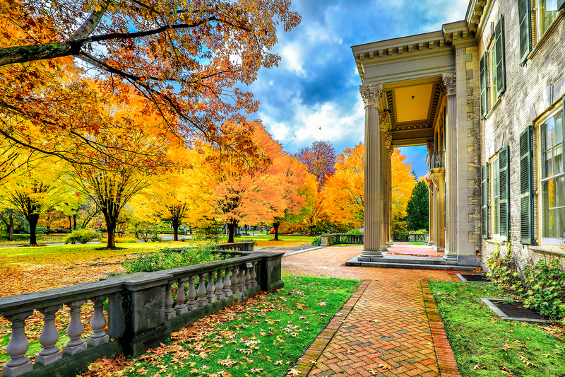 NY654.jpg :: Looking back from the front of the George Eastman House reveals a rich Fall color

Rochester NY - Fall 2018