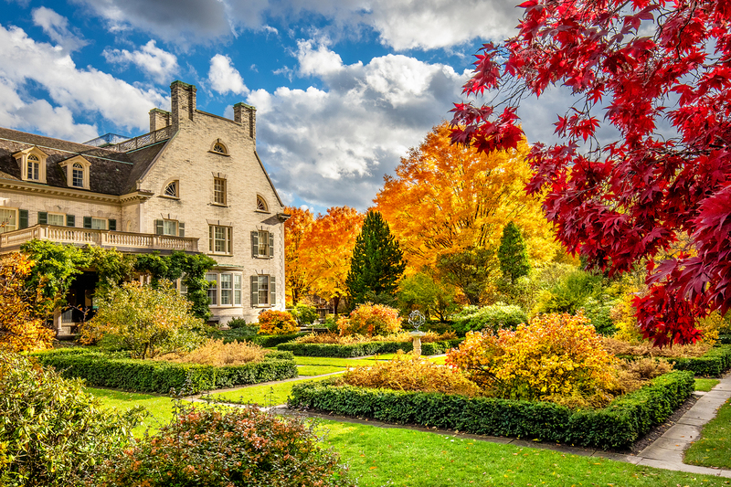 NY655.jpg :: The Western garden of the George Eastman House displaying full Fall color

Rochester NY - Fall 2018