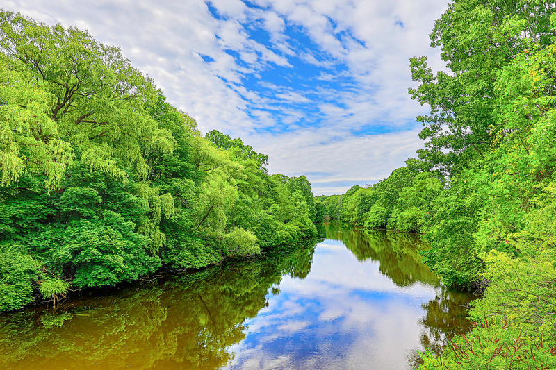 NY690.jpg :: A serene moment overlooking Red Creek in Genesee Valley Park as it nears joining the Erie Canal

Rochester NY - Spring 2019