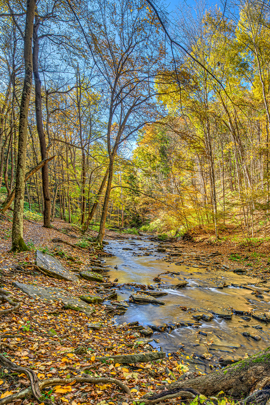 NY730.jpg :: Looking up stream at Grimes Glenn on a beautiful Fall day

Naples, NY - Fall 2019