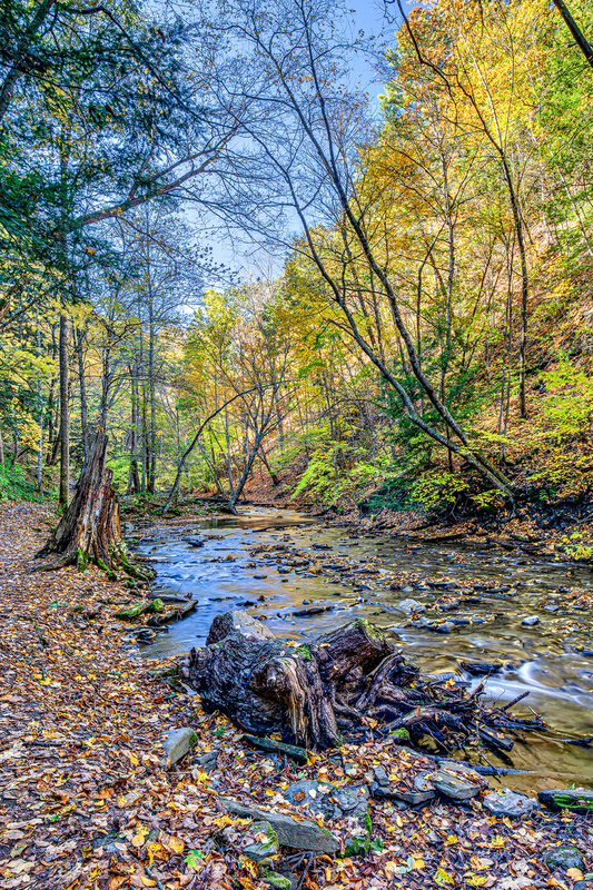 NY731.jpg :: Looking up stream at Grimes Glenn on a beautiful Fall day

Naples, NY - Fall 2019