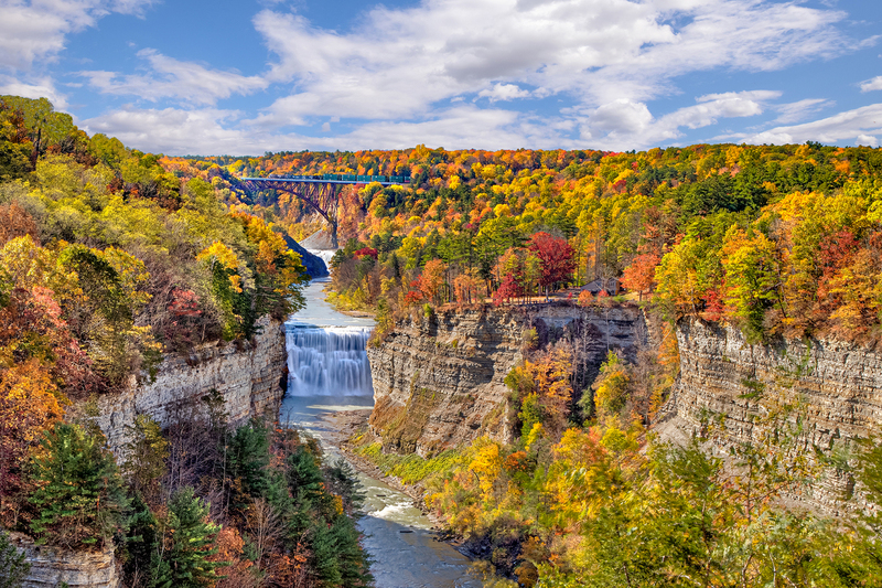 NY741.jpg