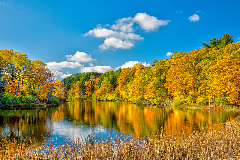 NY750.jpg :: Fall reflection at Durand Eastman Park

Rochester area NY - Fall 2019