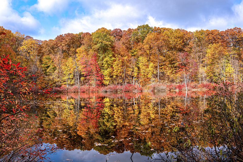 NY782.jpg :: View of the infamous Devil's Bathtub in peak Fall season

Mendon Ponds NY - Fall 2020