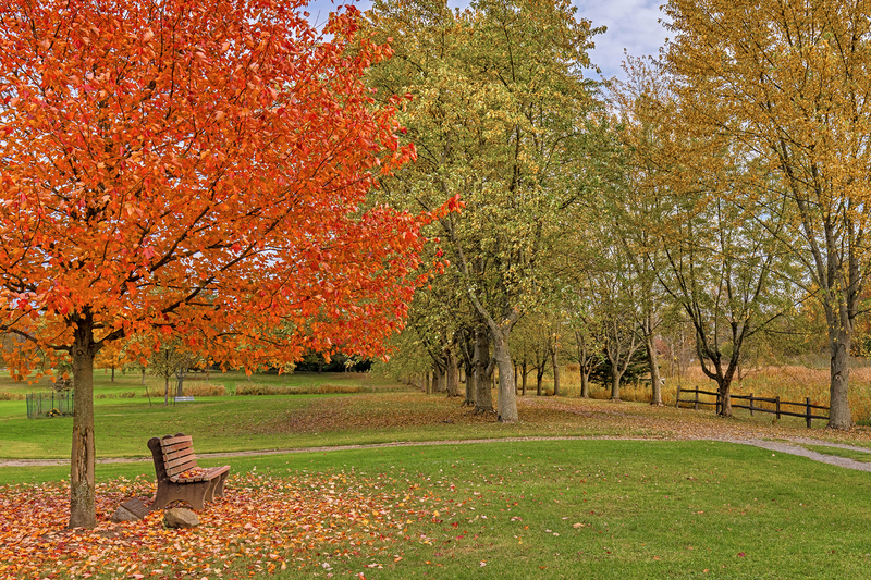 NY812.jpg :: Tinker Park main entrance on a gorgeous Fall day

Henrietta NY - Fall 2023