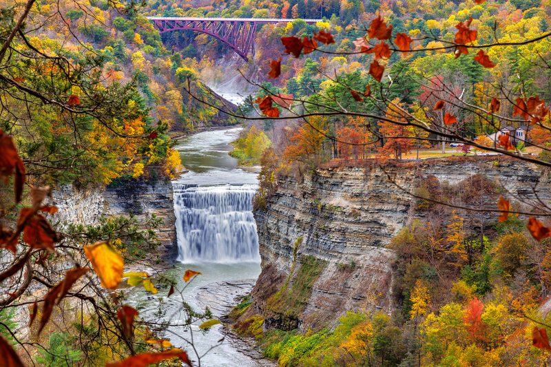 NY829.jpg :: Framed-in view of Middle Falls from Inspiration Point

Letchworth State Park NY - Fall 2025