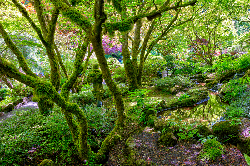 VC001.jpg :: Butchart Gardens - the Japanese Garden

Victoria, Vancouver Island - Summer 2022