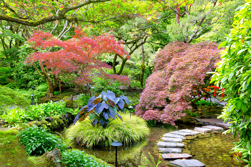 VC003.jpg :: Butchart Gardens - the Japanese Garden

Victoria, Vancouver Island - Summer 2022