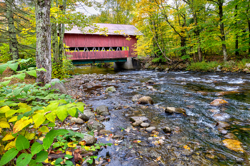 VT025.jpg :: Brookdale Covered Bridge over West Branch Little River

Stowe VT - Fall 2021