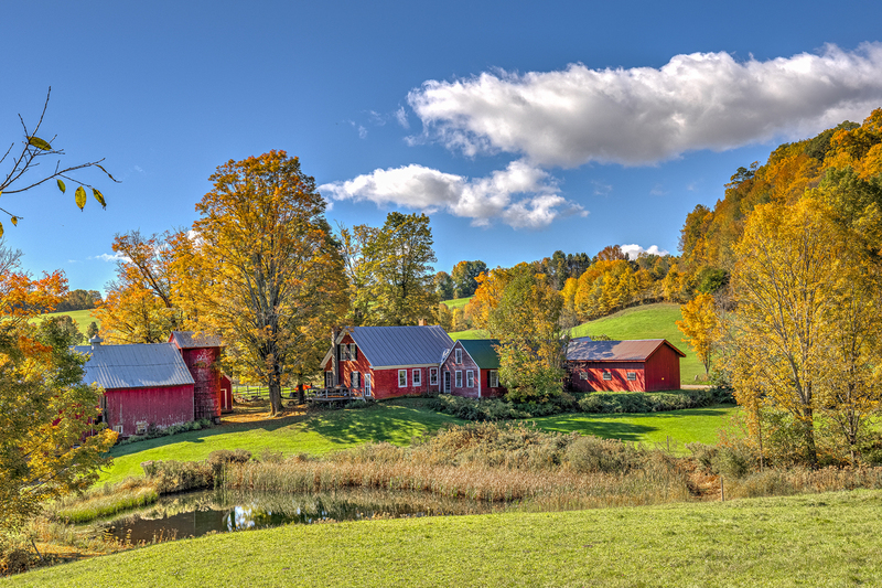 VT026.jpg :: The infamous & pastoral Jenne Farm

Reading VT - Fall 2021