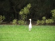 IMG_02473.jpg