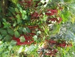 IMG_02513.jpg