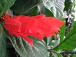 IMG_03141.jpg