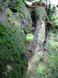 IMG_0338.jpg