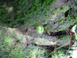 IMG_03381.jpg