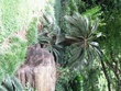 IMG_03641.jpg