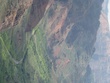 IMG_04231.jpg
