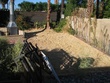 IMG_05162.jpg