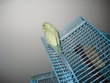 IMG_0961.jpg
