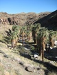 IMG_1046.jpg