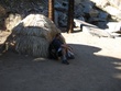 IMG_10531.jpg