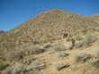 IMG_1070.jpg