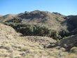 IMG_1071.jpg
