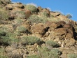 IMG_1074.jpg