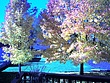 img013.jpg