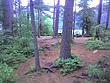 img071.jpg
