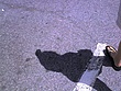 img086.jpg