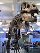 img095.jpg