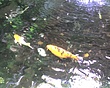 img121.jpg