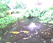 img122.jpg